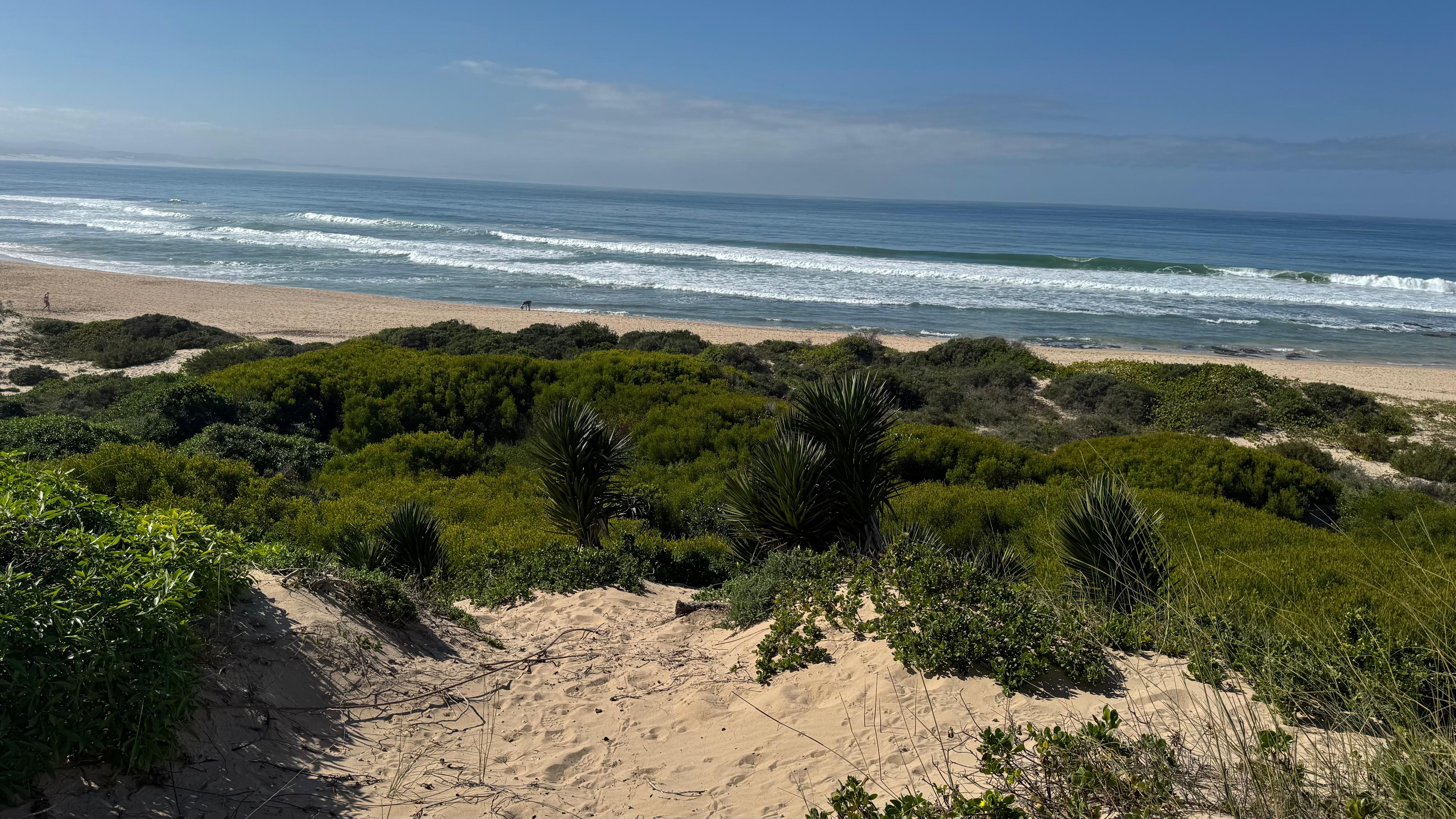 Coastal dunes and shoreline near Kabeljous Beach, Jeffreys Bay — ideal setting for beach horse trails